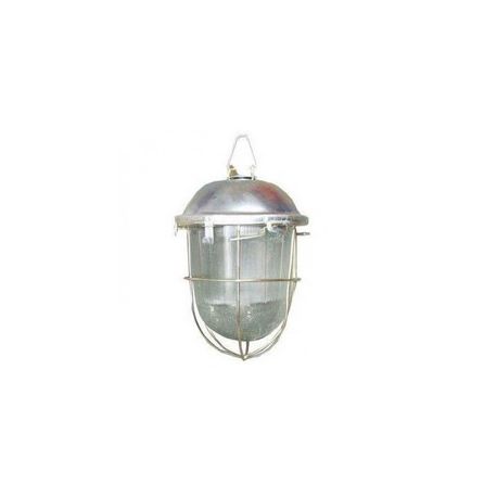 Светильник TDM НСП 02-200-022.01 У2 (с/с, стекло, крюк)