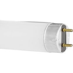 Люминесцентная лампа Camelion T8 10Вт/33/4200К F10
