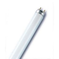 Люминесцентная лампа OSRAM L 36Вт  77 Fluora для растений 003184