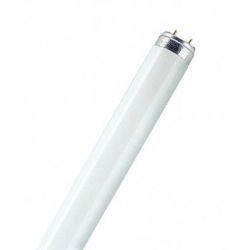 Люминесцентная лампа OSRAM L 36Вт 840 LUMILUX Т8 G13 4000K 1200мм  улучшенная цветопередача