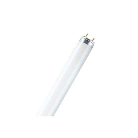 Люминесцентная лампа OSRAM L 58Вт 765 G13 6500K (25шт.)