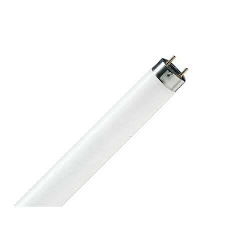 Люминесцентная лампа Philips TL-D 18Вт/33-640 дневного света