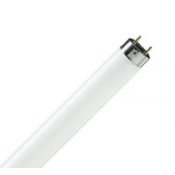 Люминесцентная лампа Philips TL-D 18Вт/54-765 холодного света