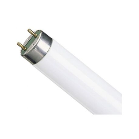 Люминесцентная лампа Philips TL-D 58W/33 G13